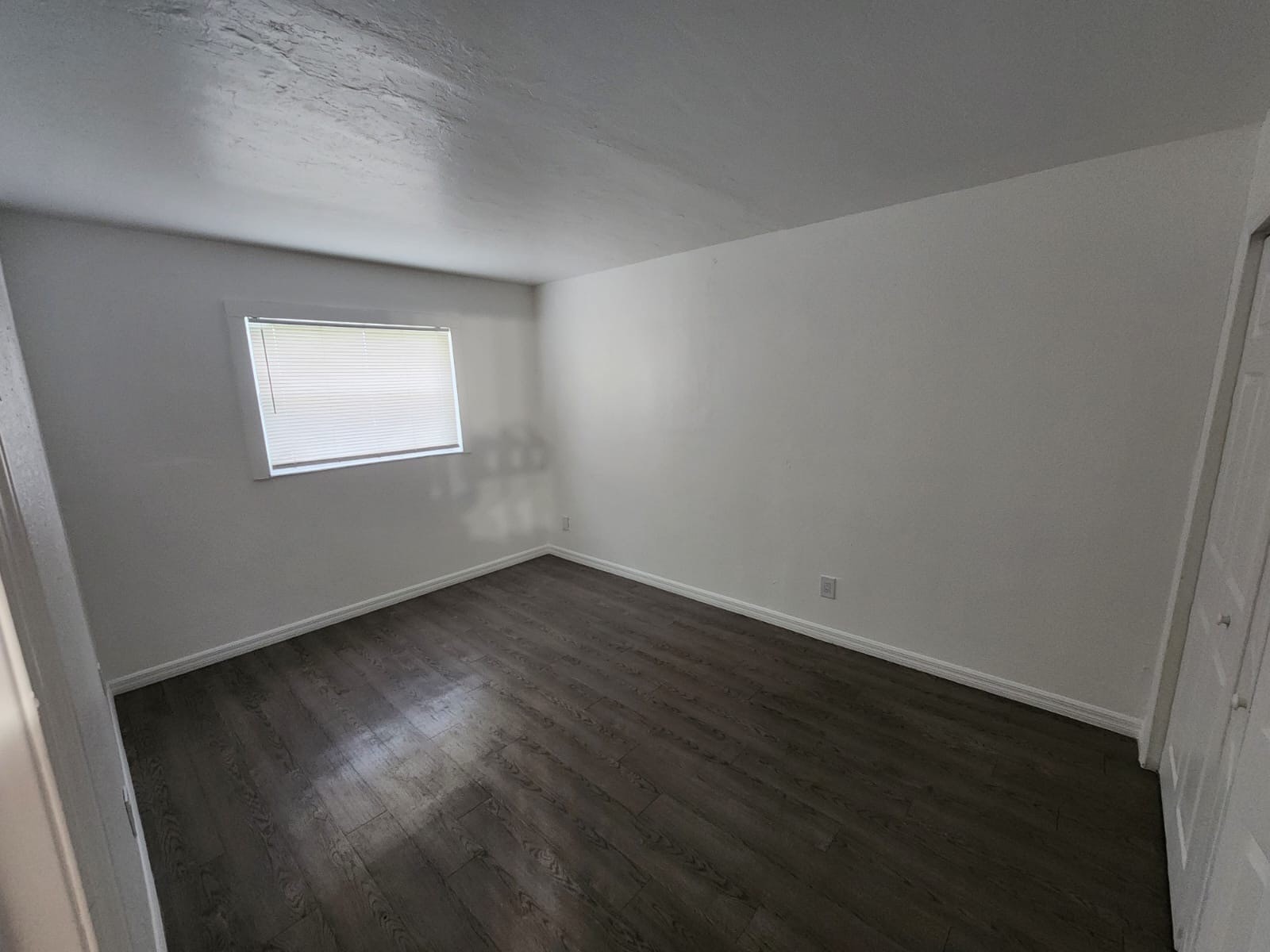 Gallery Photo 25