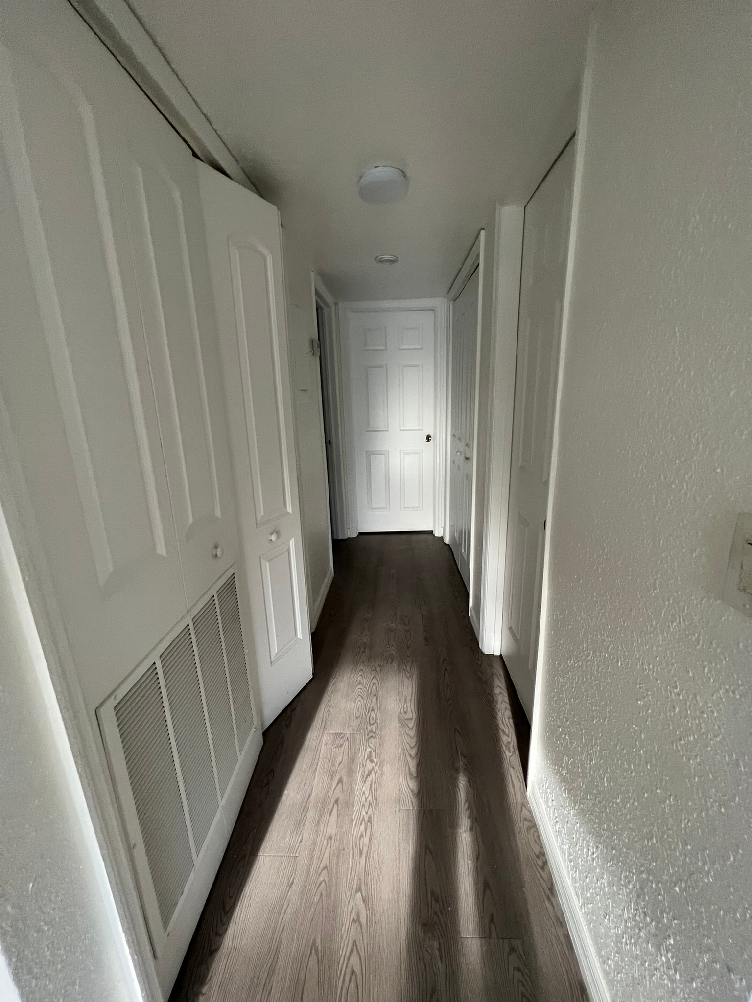 Gallery Photo 43