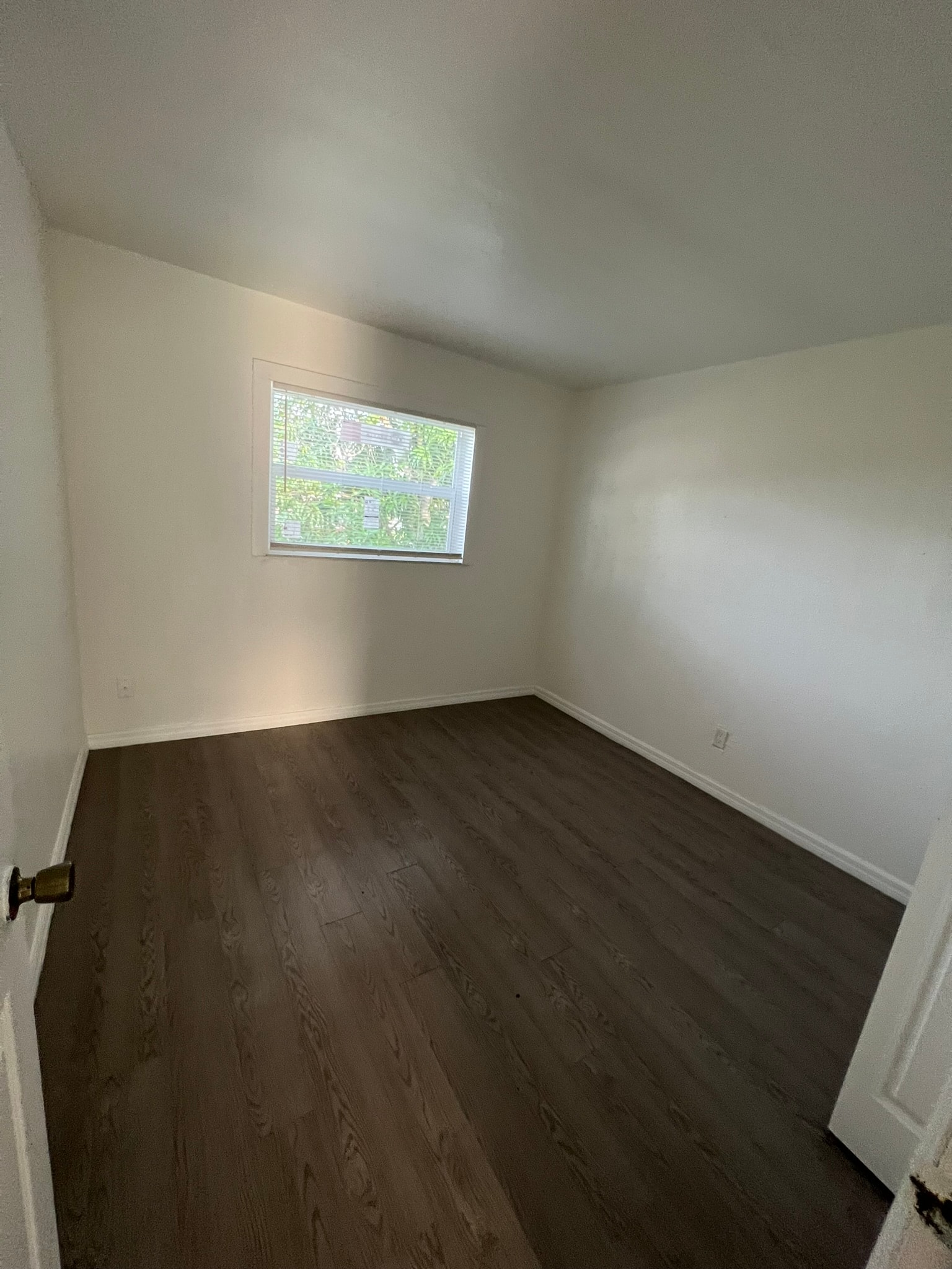 Gallery Photo 39