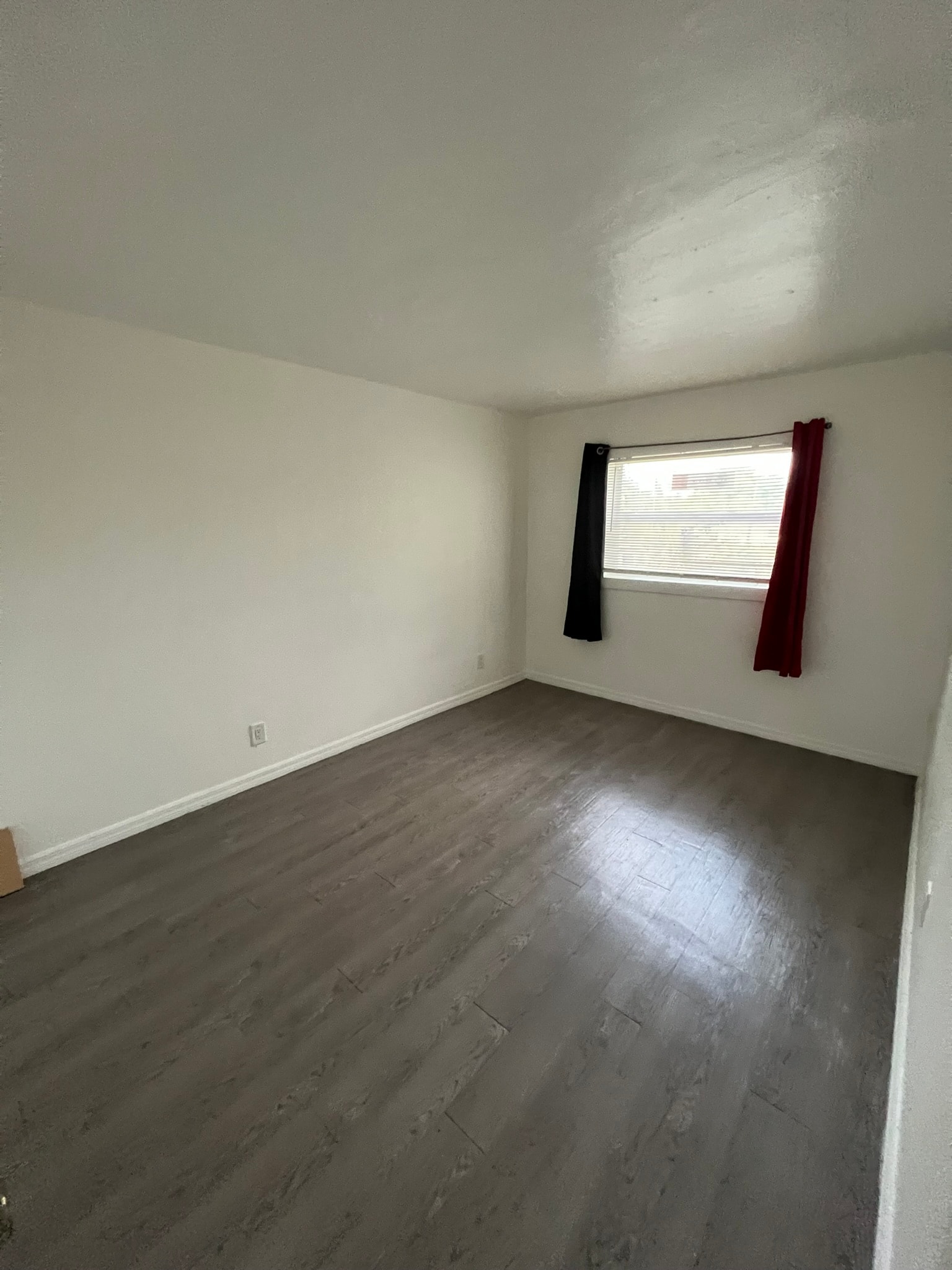 Gallery Photo 37