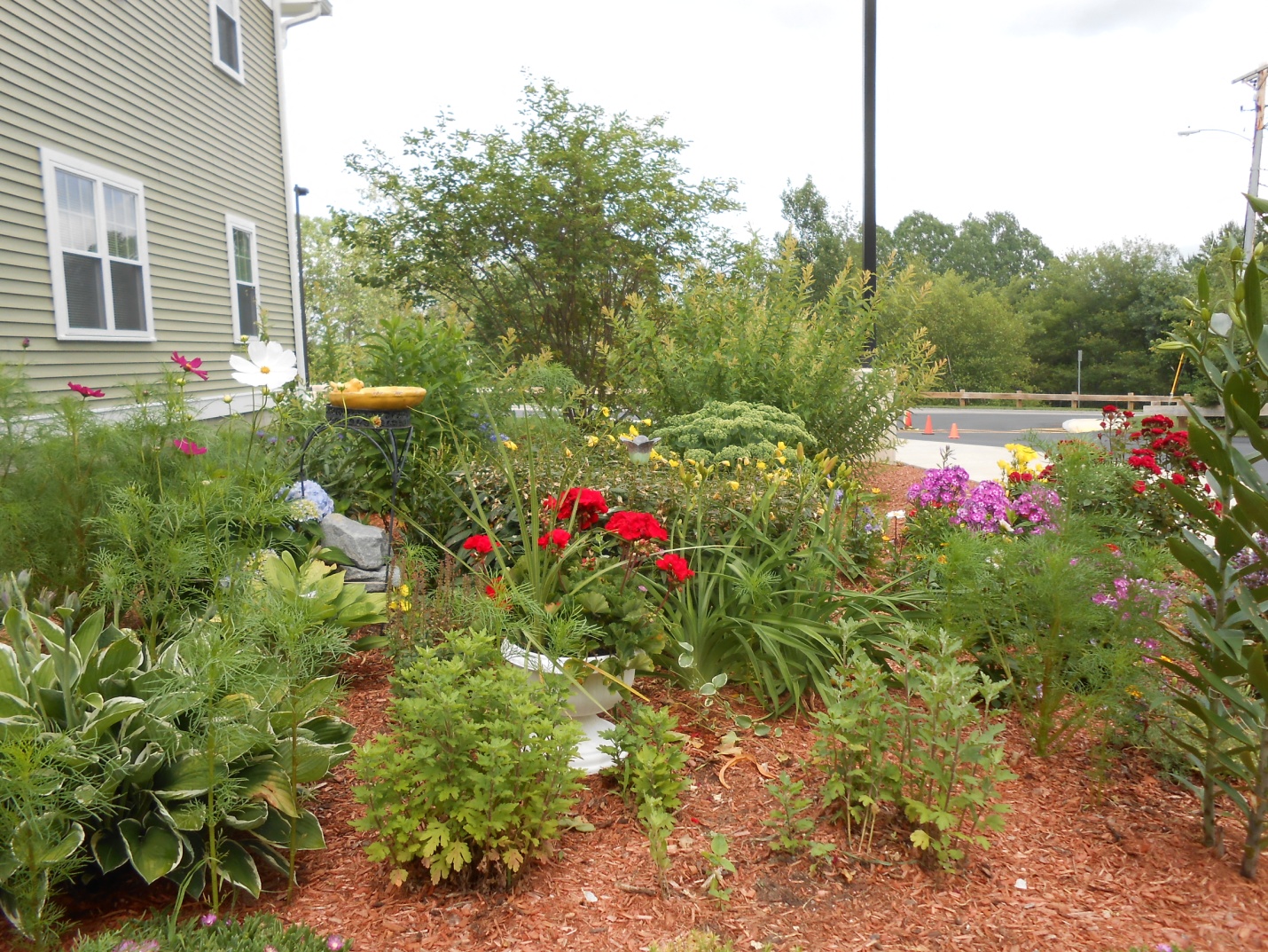 Gallery Photo 2