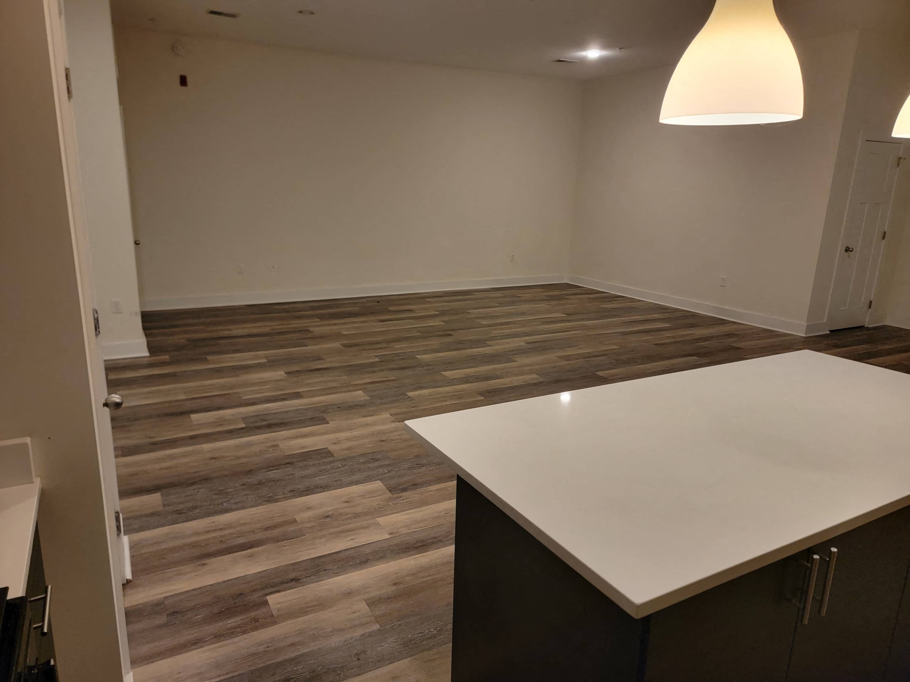 Gallery Photo 5