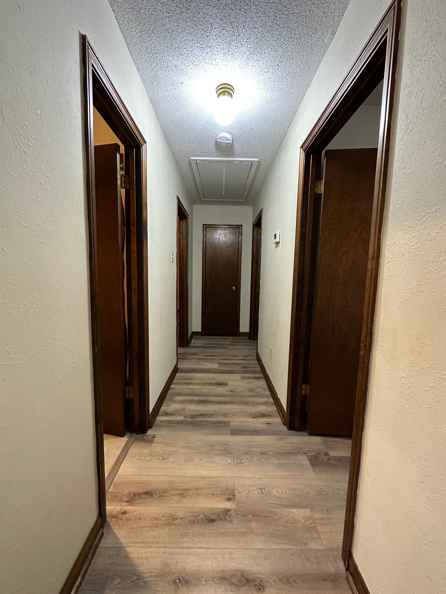 Gallery Photo 6