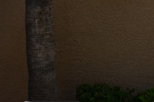 Sunset Pointe Apartments