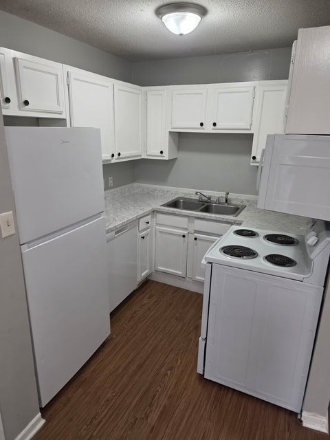 Gallery Photo 3