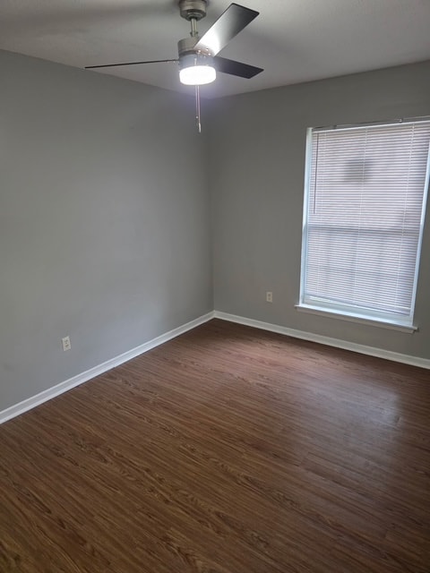 Gallery Photo 2
