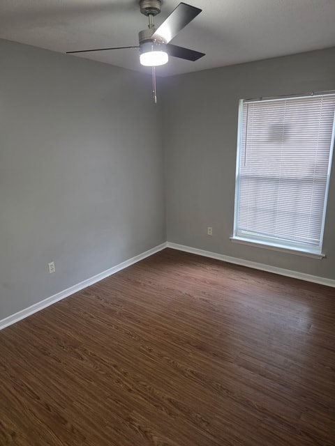Gallery Photo 2