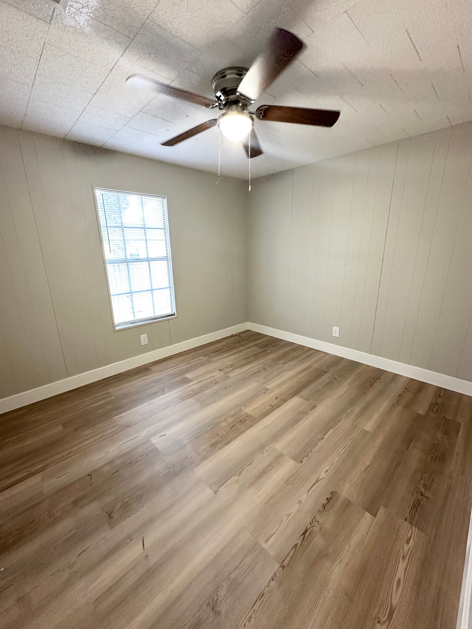 Gallery Photo 11