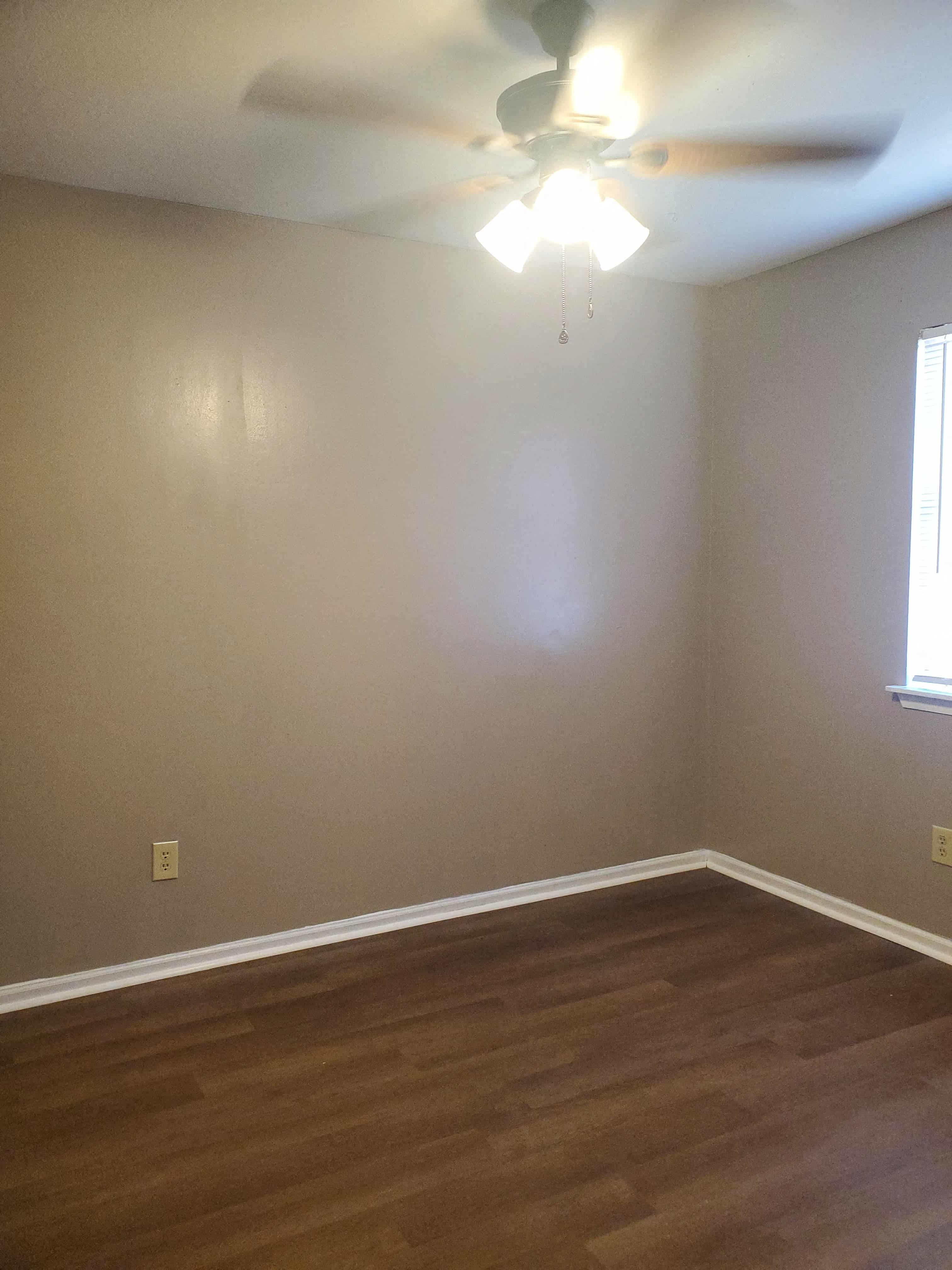 Gallery Photo 17