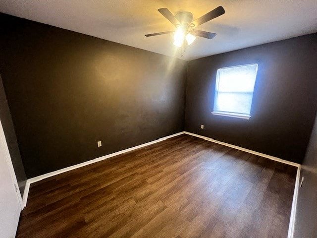 Gallery Photo 16
