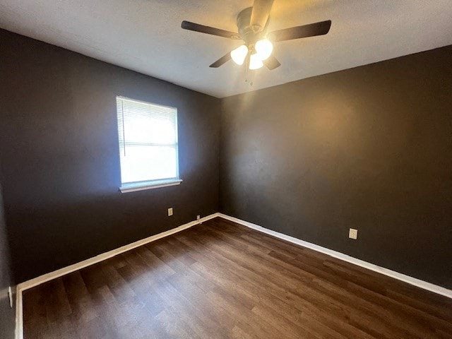Gallery Photo 5