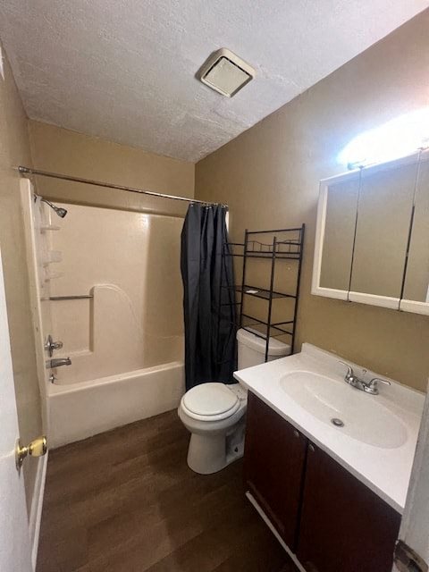 Gallery Photo 14
