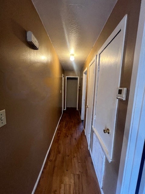 Gallery Photo 12