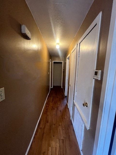 Gallery Photo 12