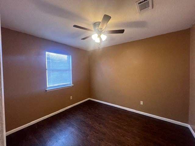 Gallery Photo 13