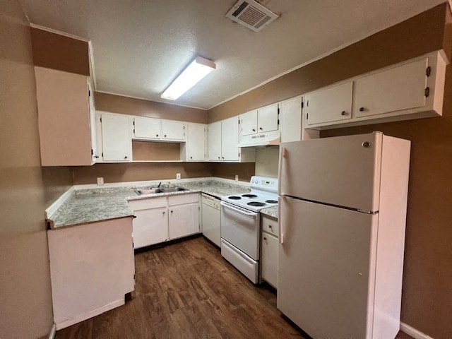 Gallery Photo 8