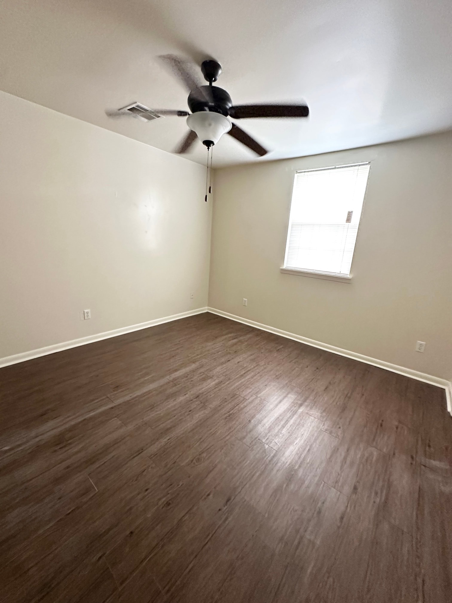 Gallery Photo 4