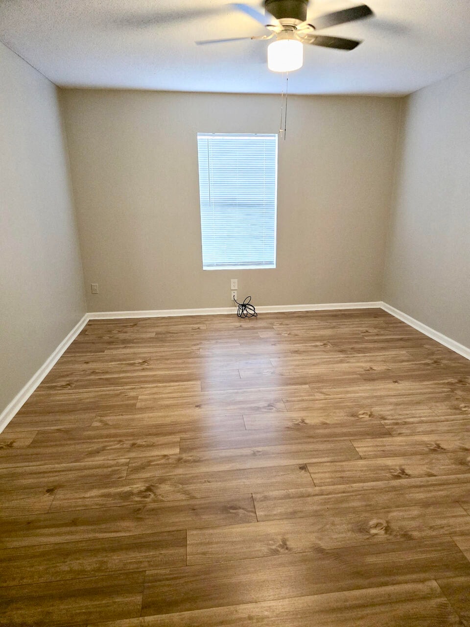 Gallery Photo 5