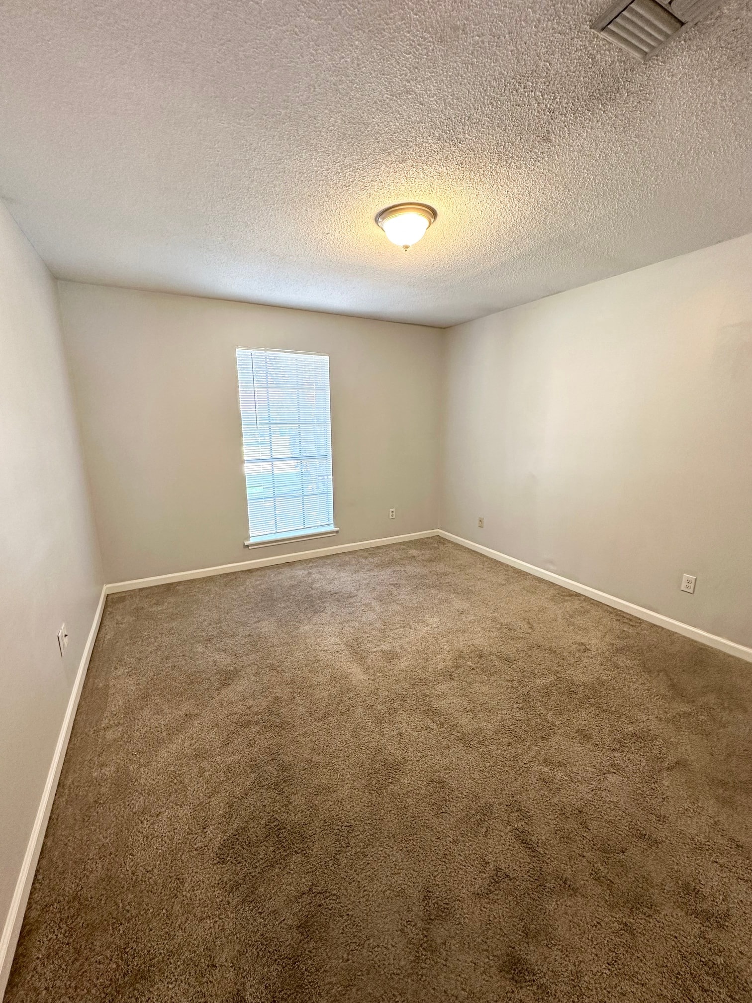 Gallery Photo 18