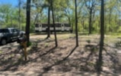 Image for 166 County Road 1686 - 166 County Road 1686