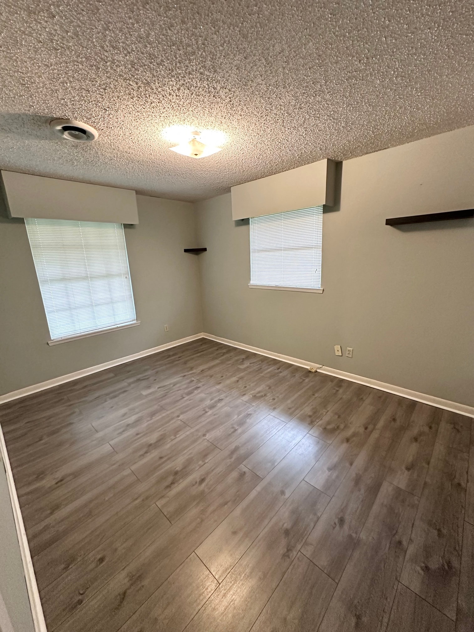 Gallery Photo 16