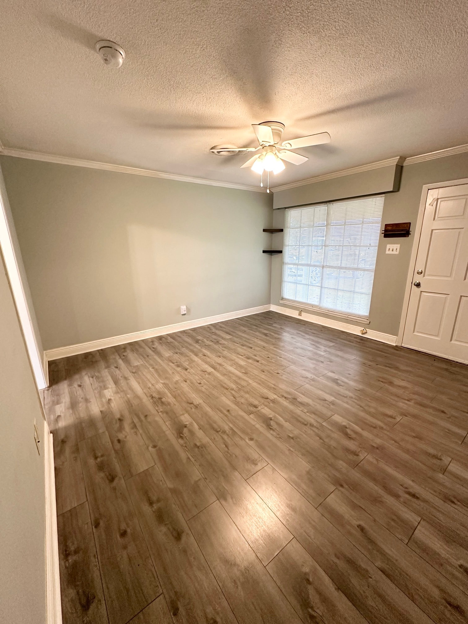 Gallery Photo 10
