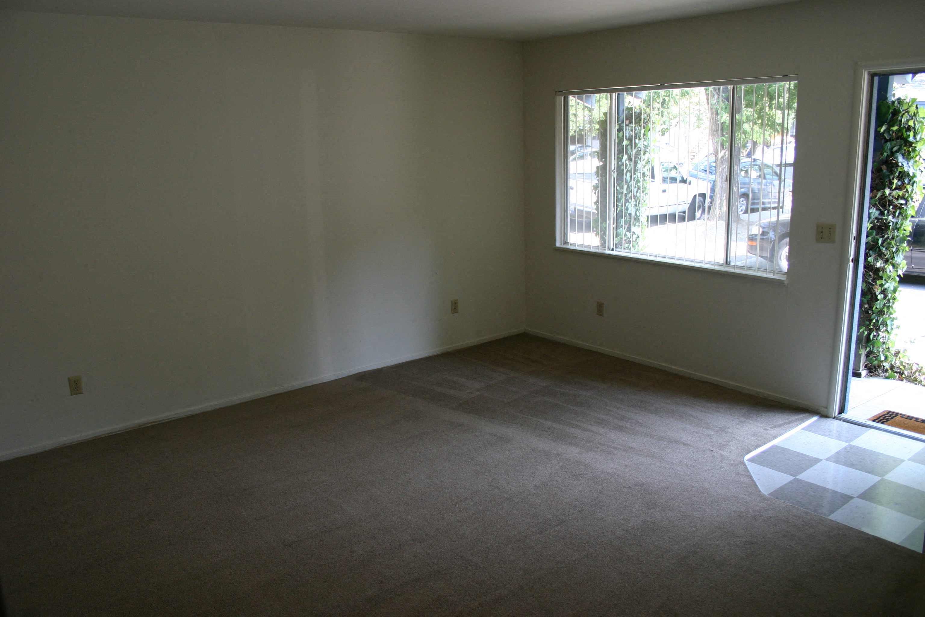 Gallery Photo 4