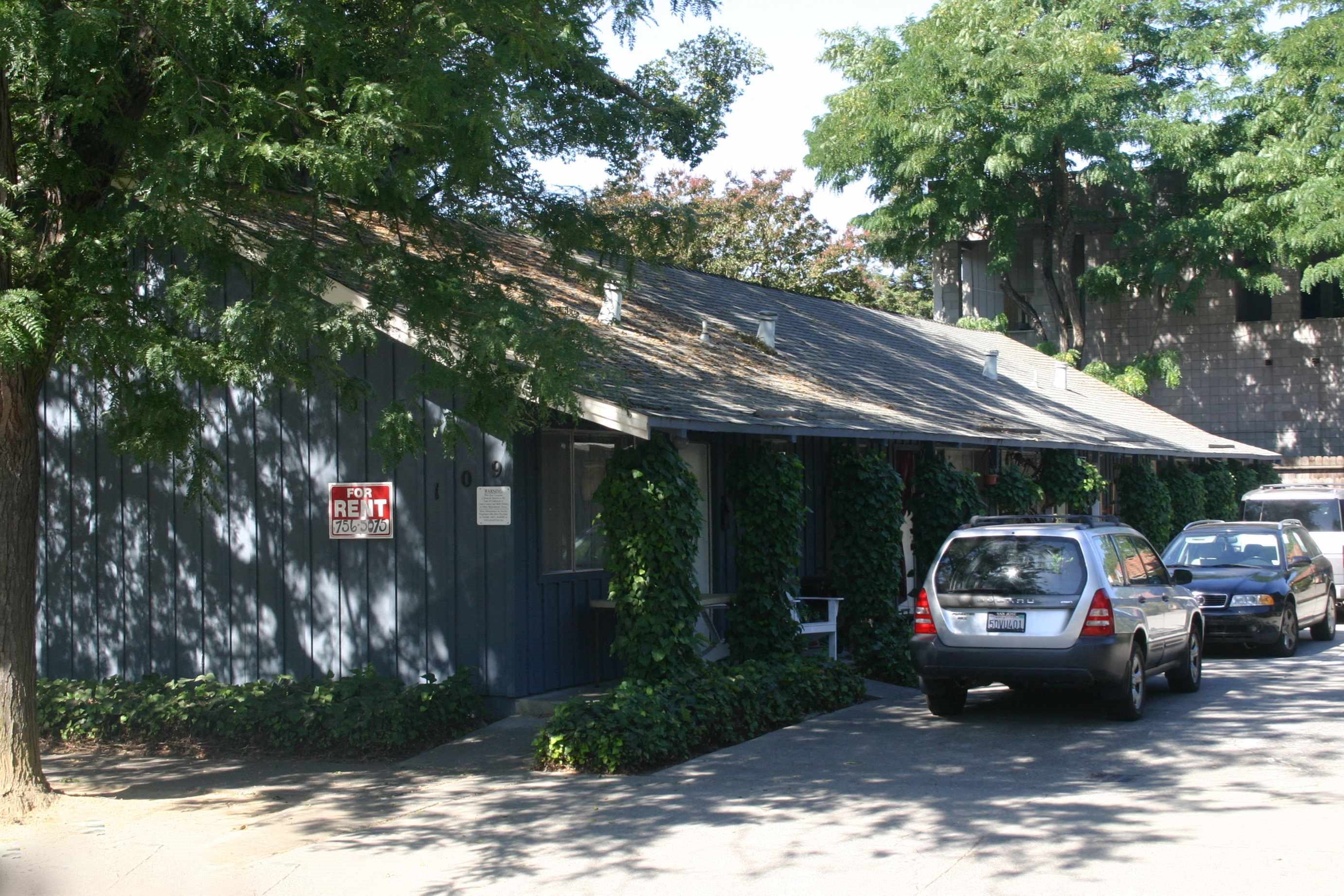 Gallery Photo 6