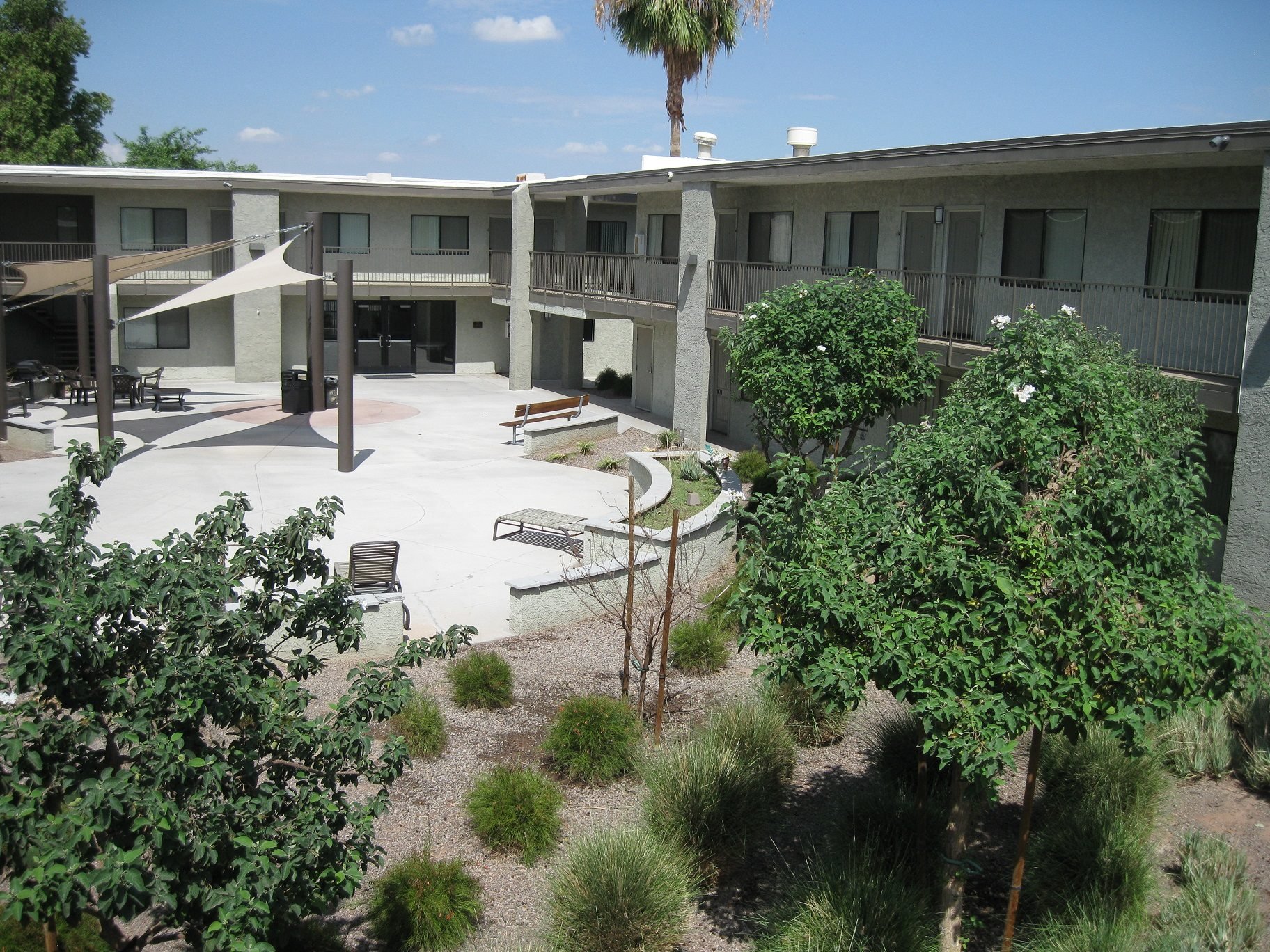 Photos and Video of Collins Court in Phoenix AZ