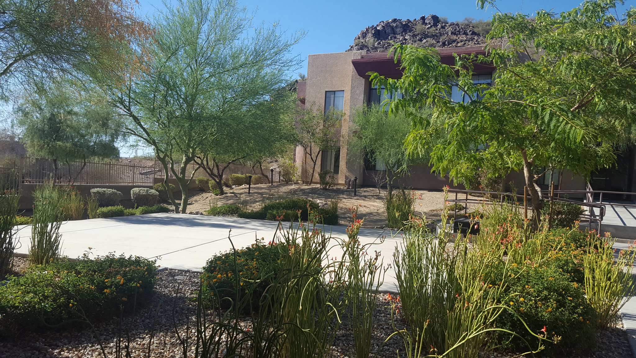 Courtyard and grounds at Ladera del Norte.