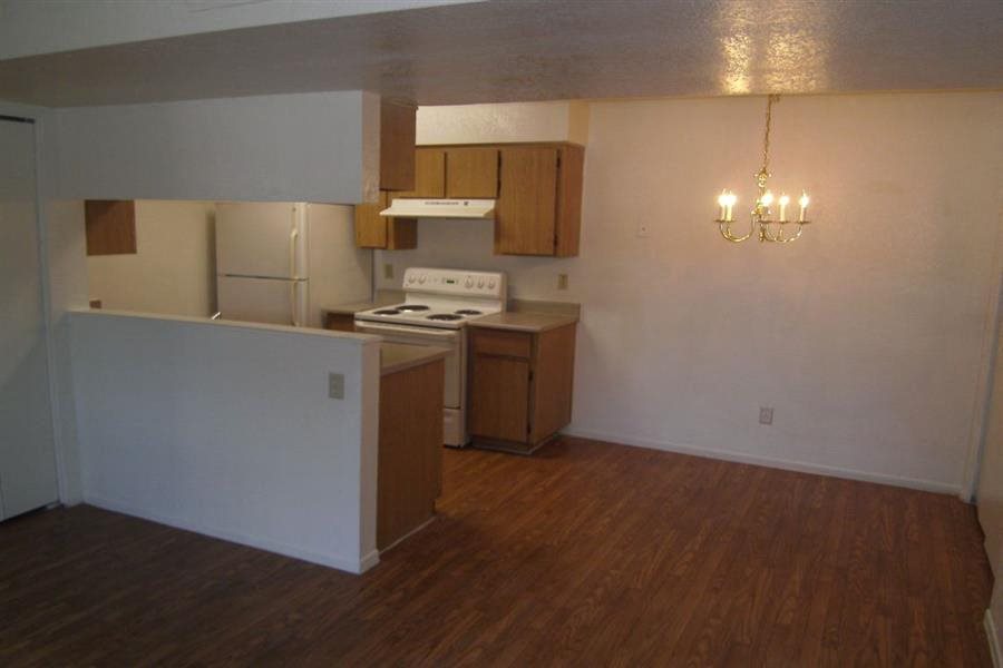Gallery Photo 4