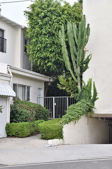 Gallery Photo 5