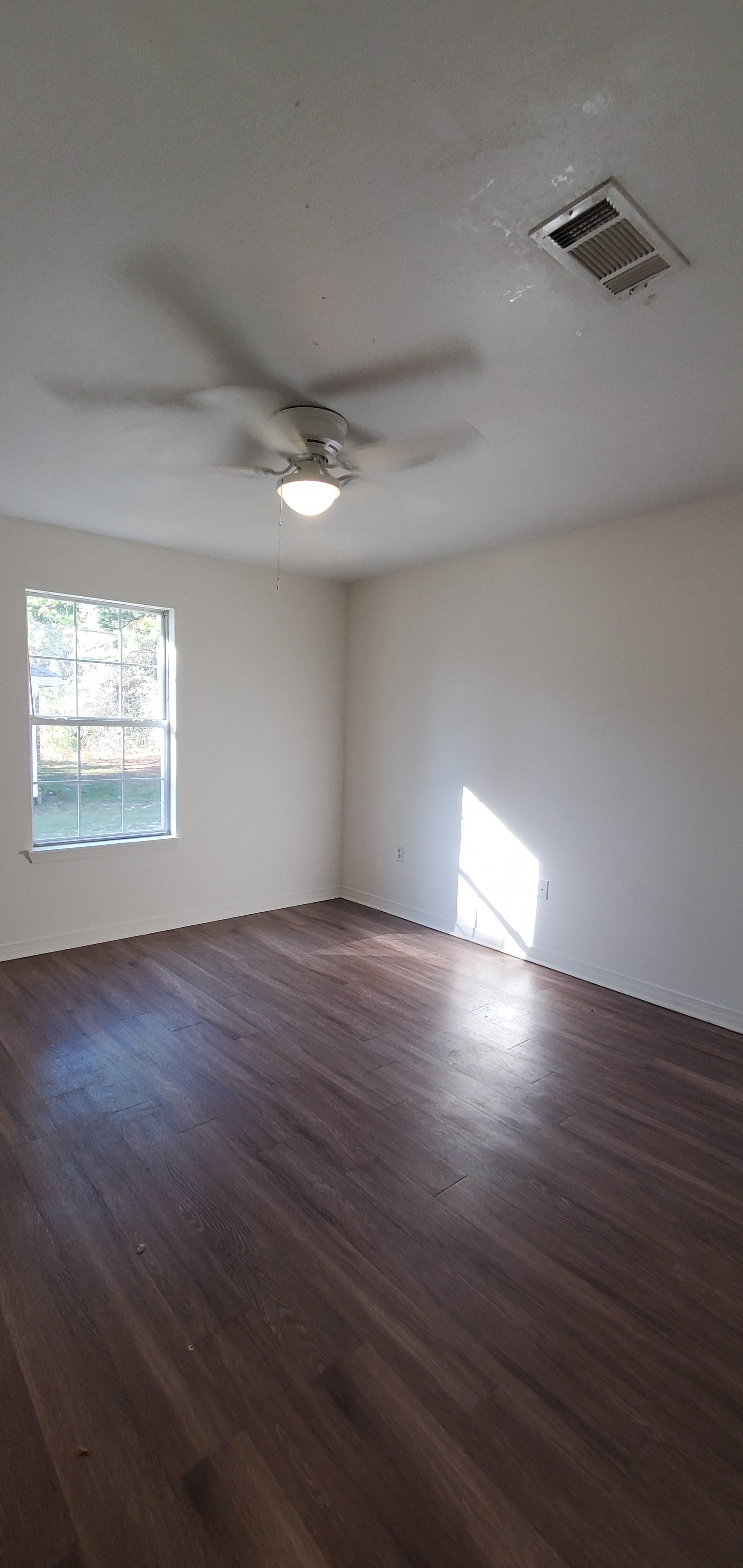 Gallery Photo 11