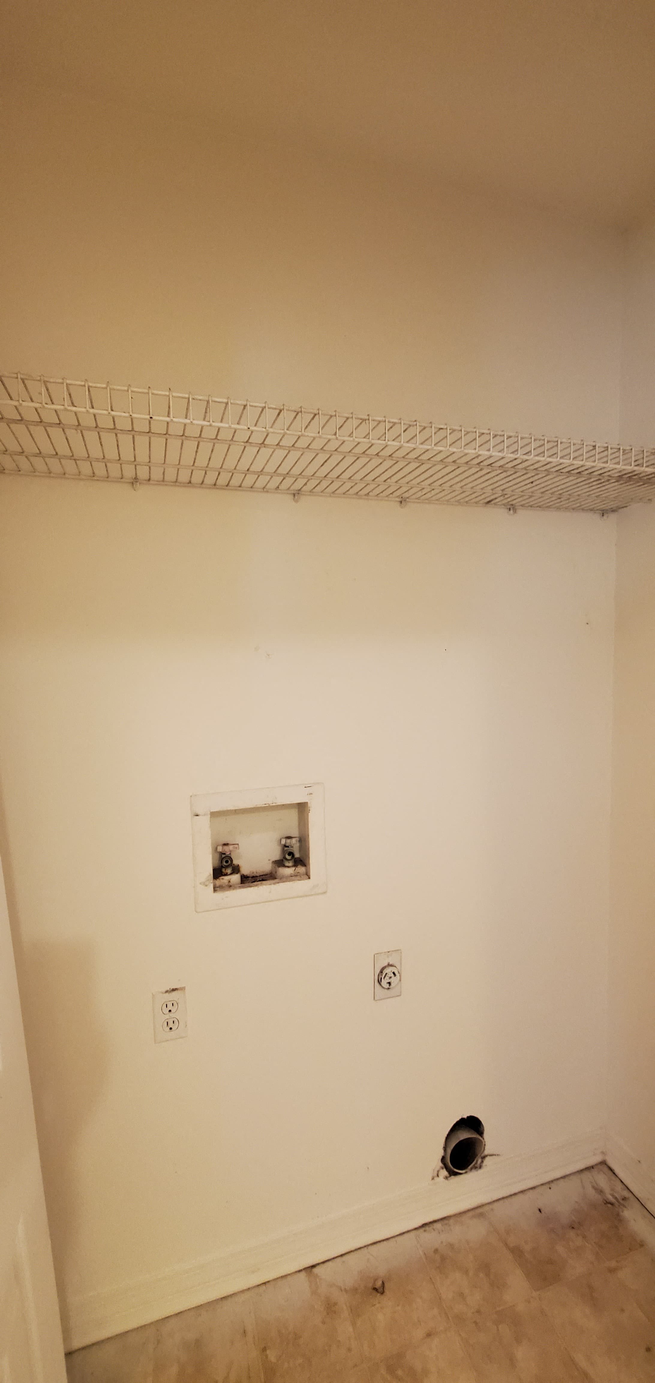 Gallery Photo 6