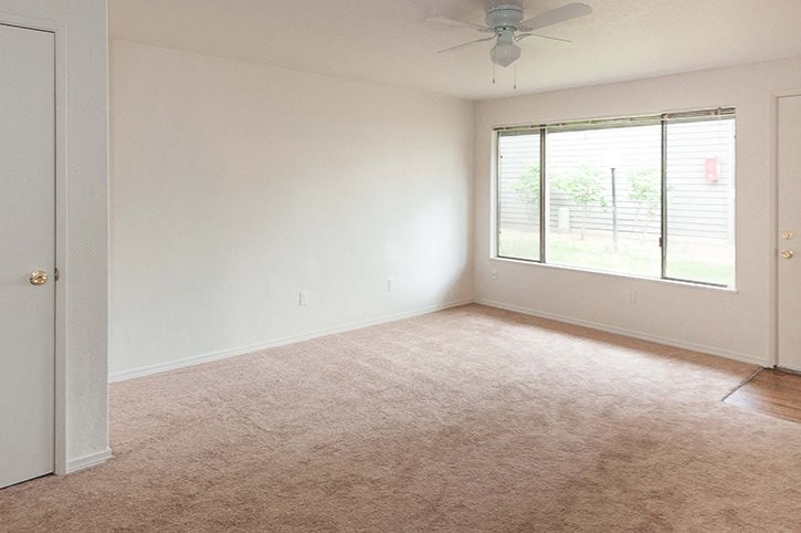 Pacific: Large 1 Bed, 1 Bath Pacific: Large 1 Bed, 1 Bath