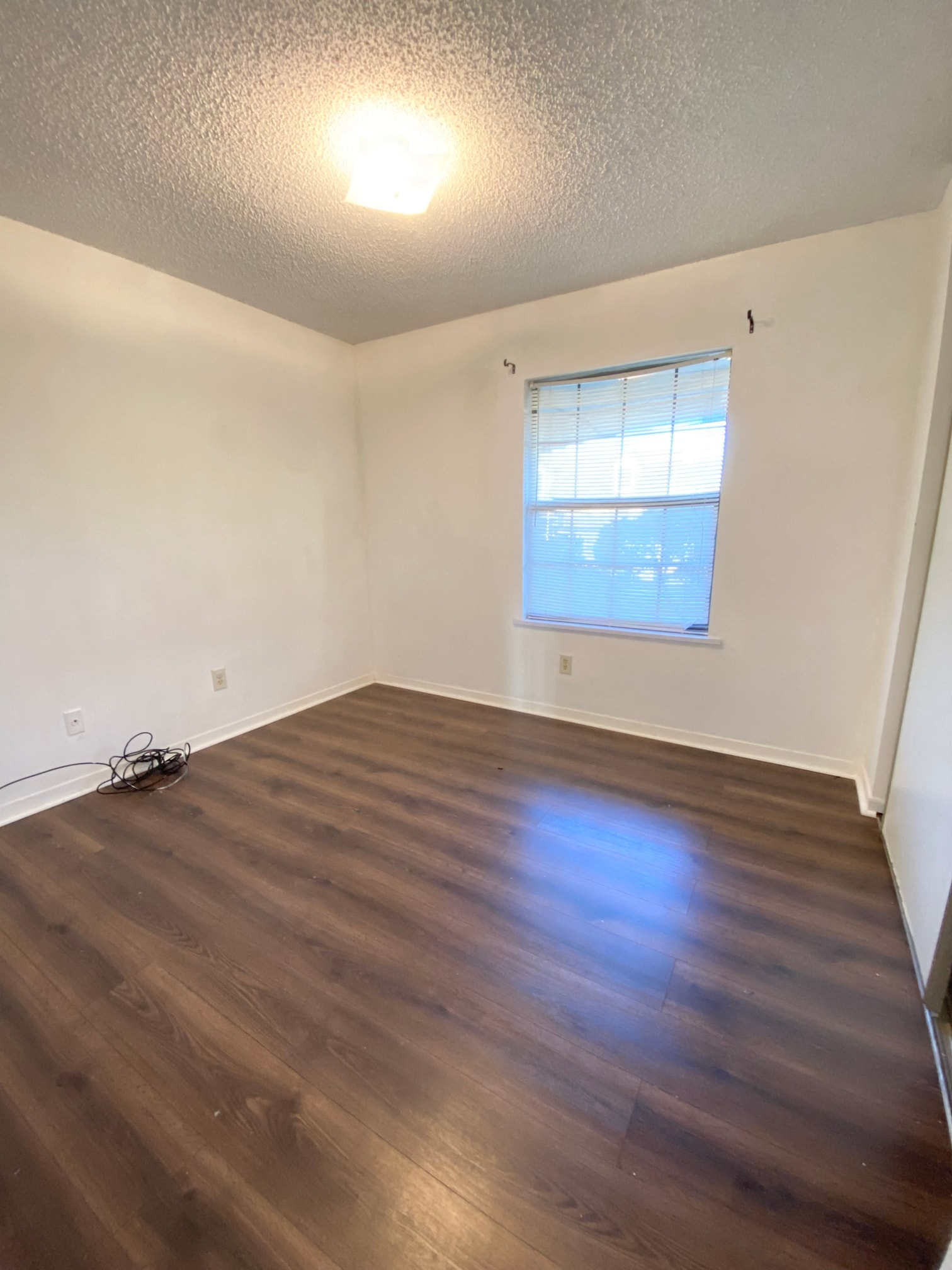 Gallery Photo 1
