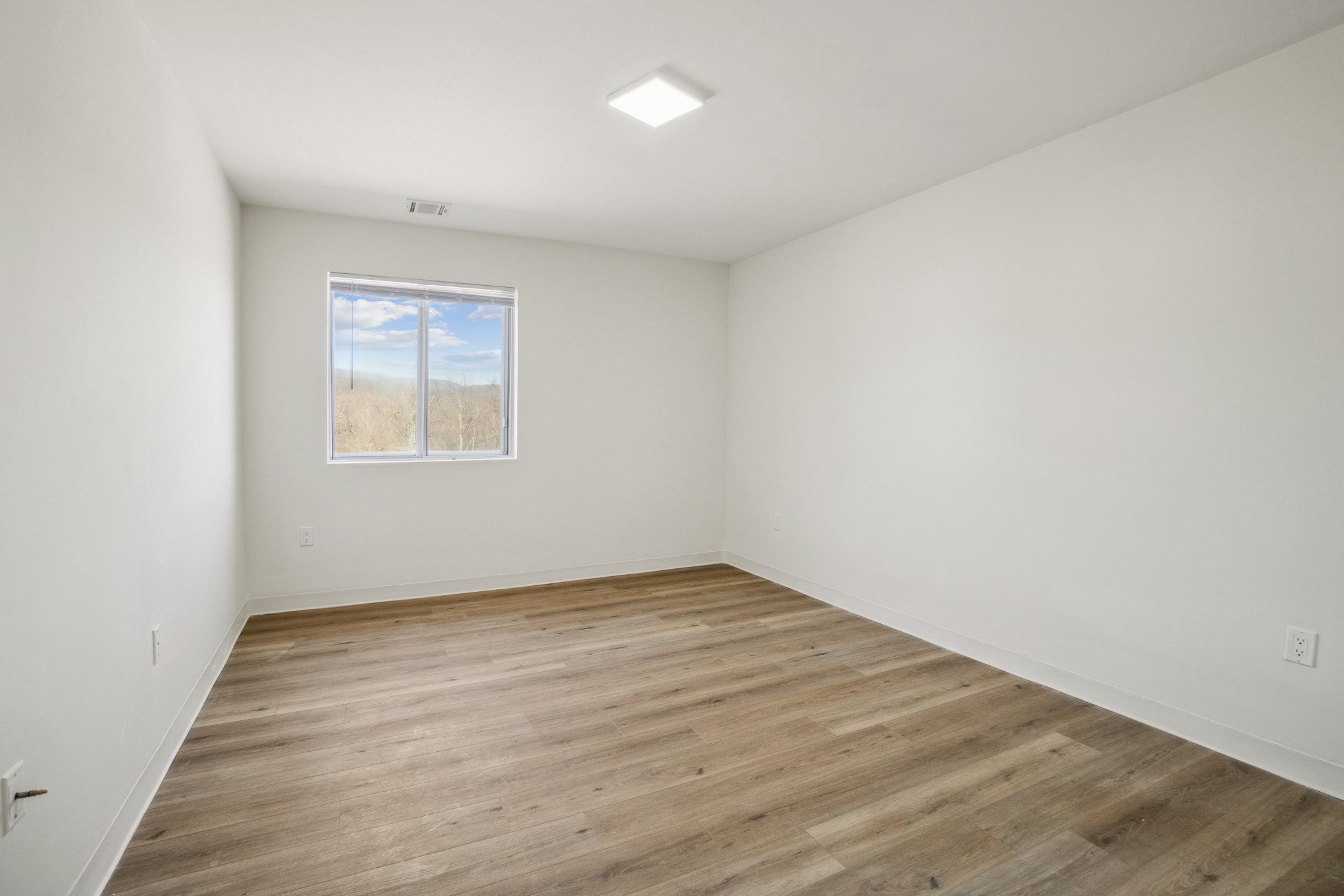 Gallery Photo 7