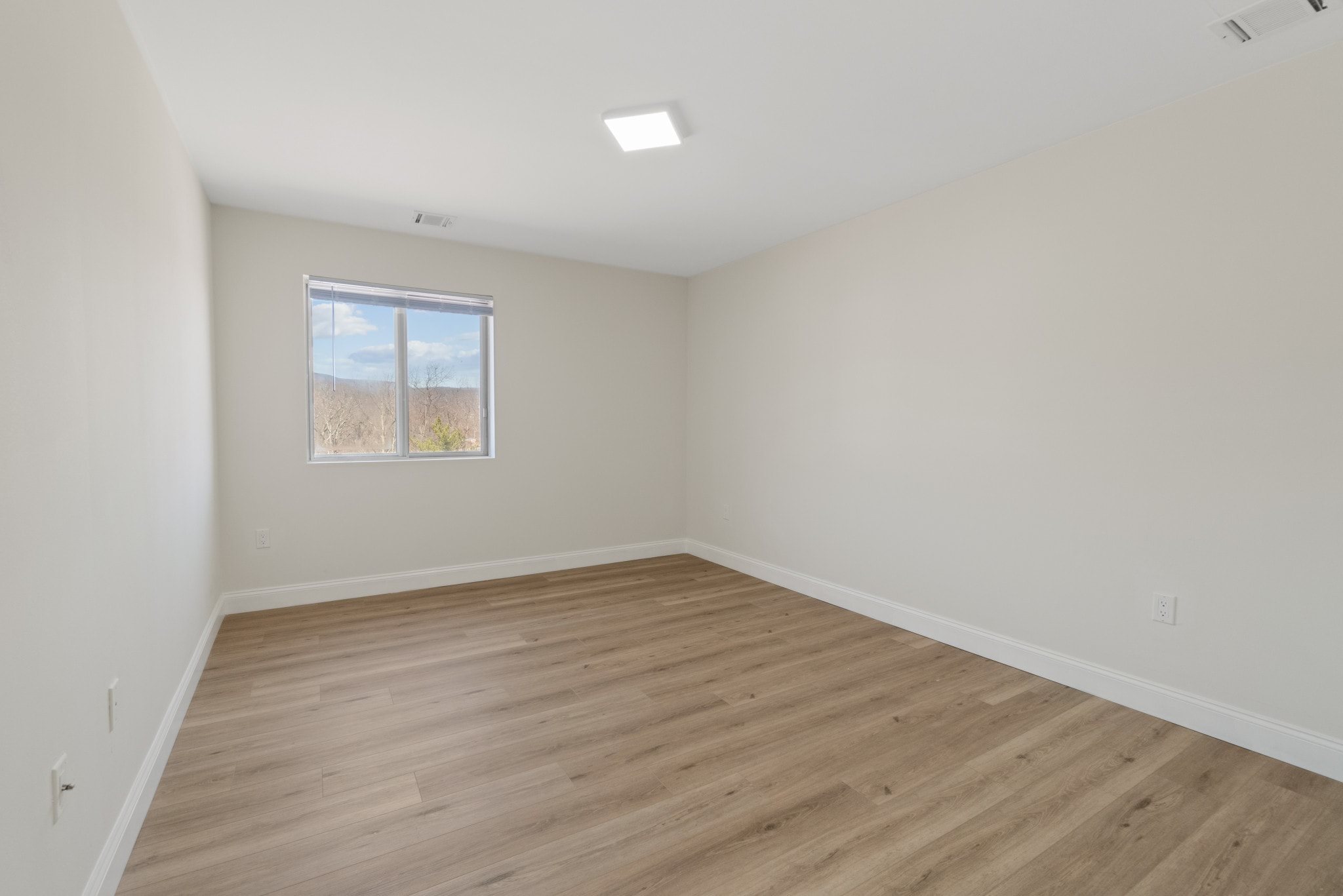 Gallery Photo 1