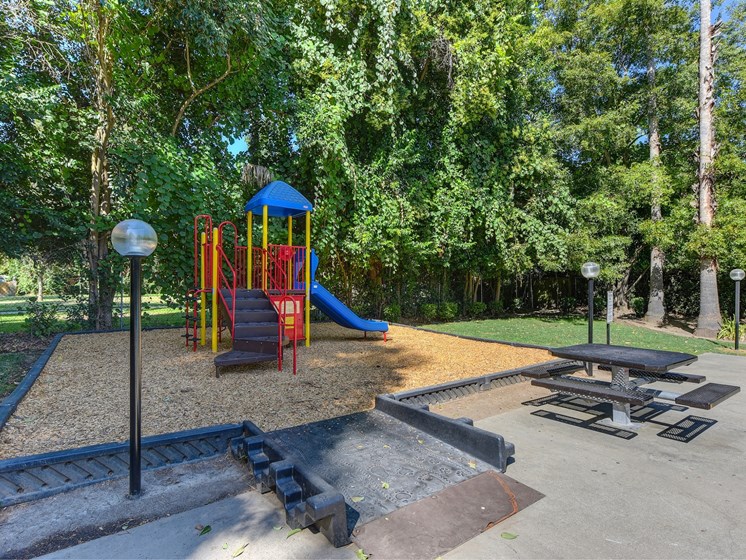 Playground with Jungle Gym, Wood Chips, Picnic Table and Street Light
