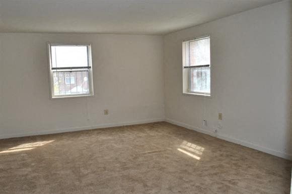 Gallery Photo 9