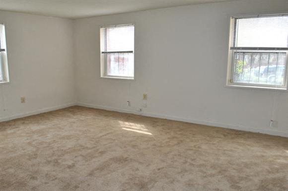 Gallery Photo 13