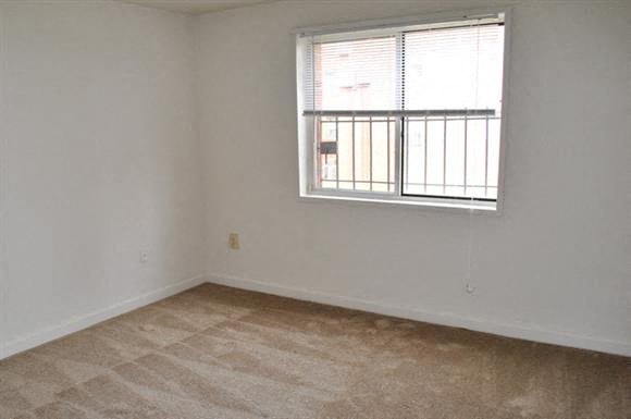Gallery Photo 10
