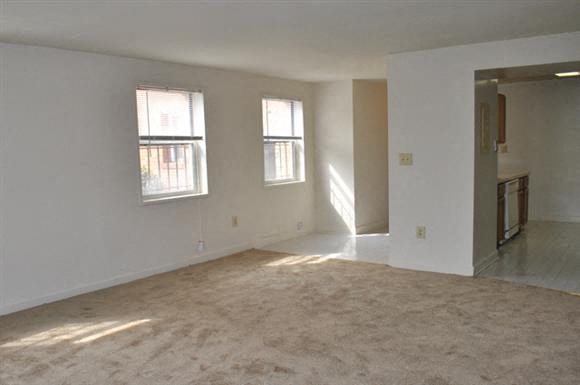 Gallery Photo 11