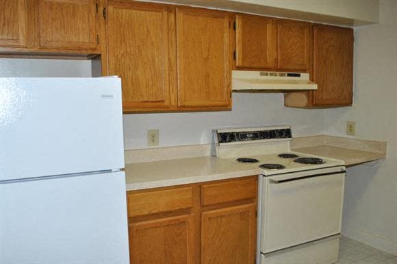 Gallery Photo 15