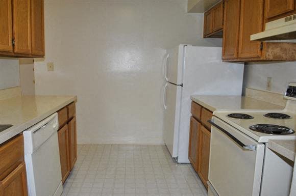 Gallery Photo 14