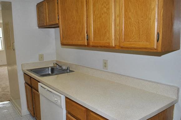 Gallery Photo 12