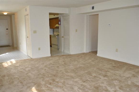 Gallery Photo 16