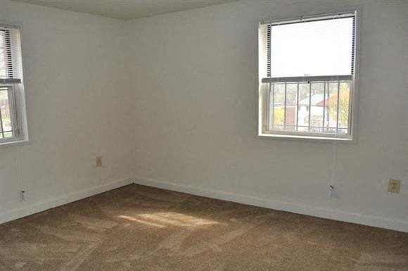 Gallery Photo 17