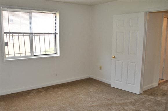 Gallery Photo 19