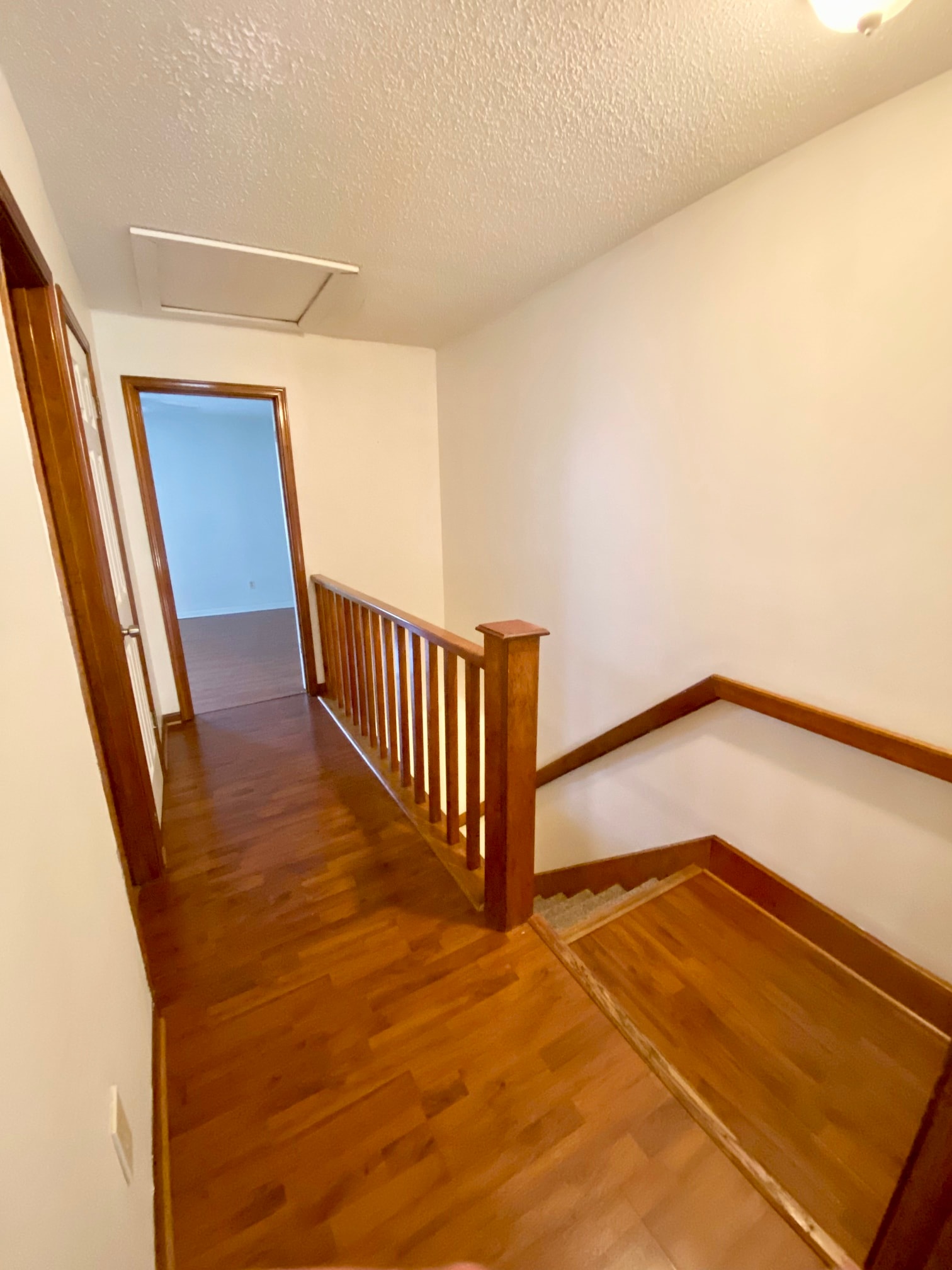 Gallery Photo 6